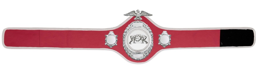 GRAPPLING CHAMPIONSHIP BELT - PRO288/S/GRAPS - 10 COLOURS GRAPPLING CHAMPIONSHIP BELT - PRO288/S/GRAPS - 10 COLOURS